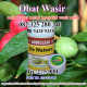 Illustration for article titled obat ambeien